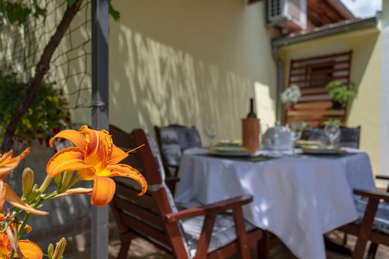 Mediterranean Terrace Apartment With Bikes & Sup スクラーディン エクステリア 写真